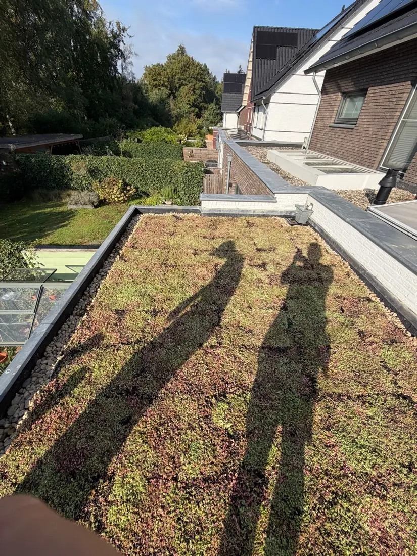 Hetzelfde dak afgewerkt als groendak